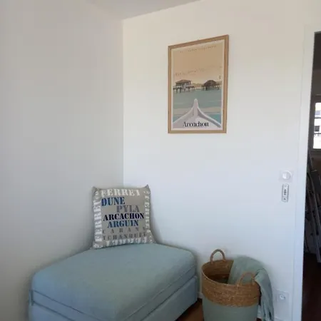 Daire Superb Near The Sea Arcachon